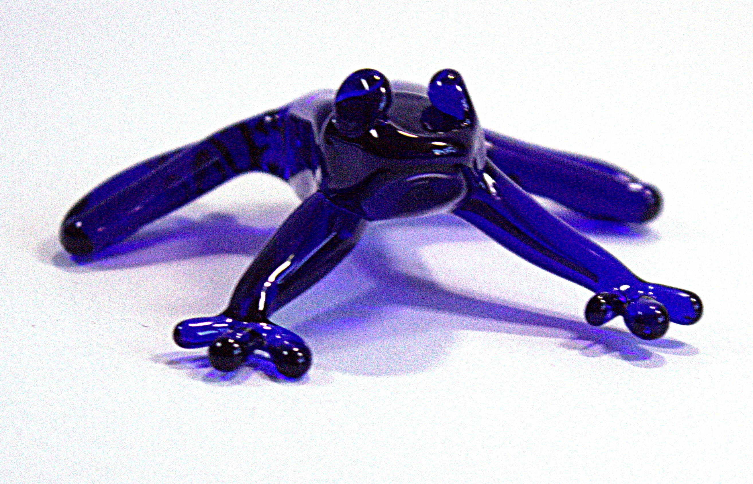 Handsome Frog Prince, in Blue