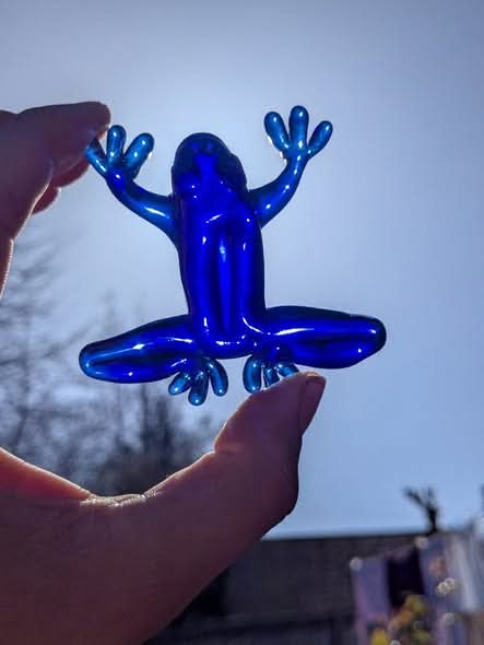 Handsome Frog Prince, in Blue