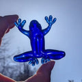 Handsome Frog Prince, in Blue