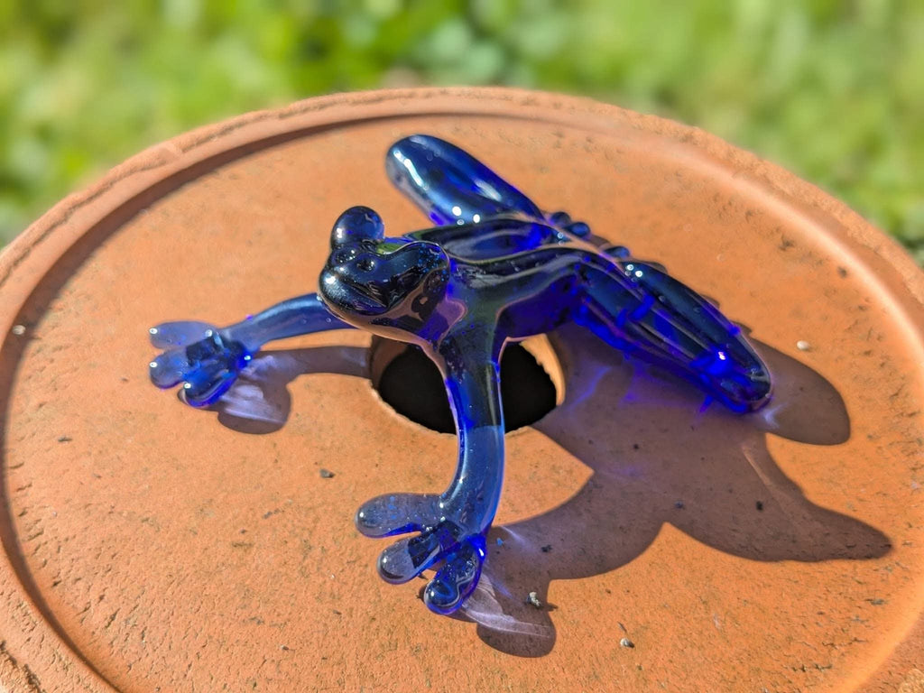 Handsome Frog Prince, in Blue